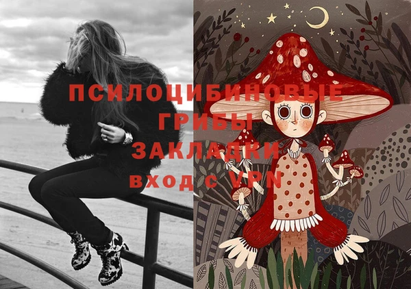 прущий лед Арсеньев