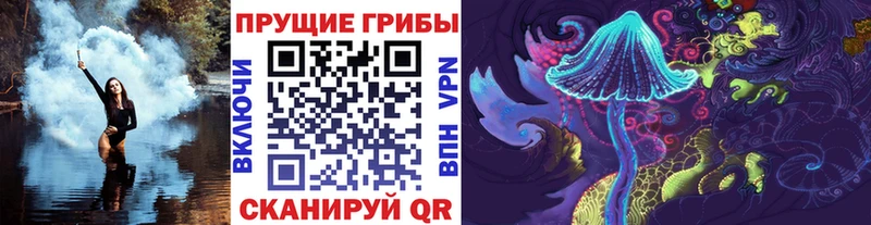 Галлюциногенные грибы Psilocybe  Бронницы 